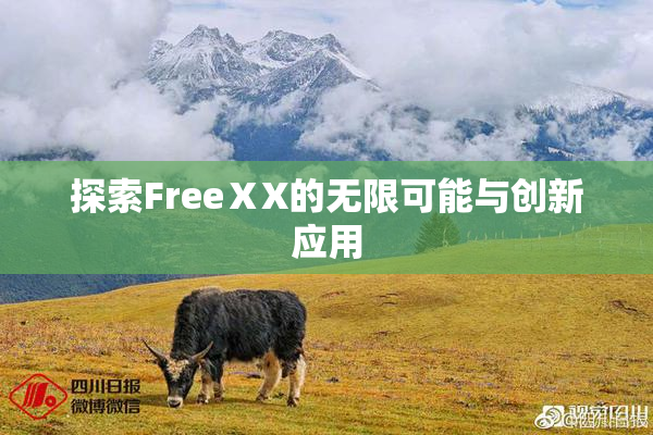探索FreeⅩX的无限可能与创新应用