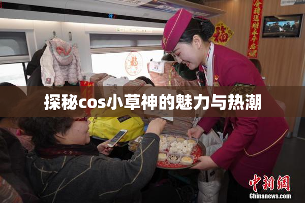 探秘cos小草神的魅力与热潮