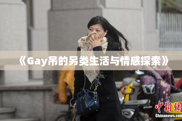 《Gay吊的另类生活与情感探索》