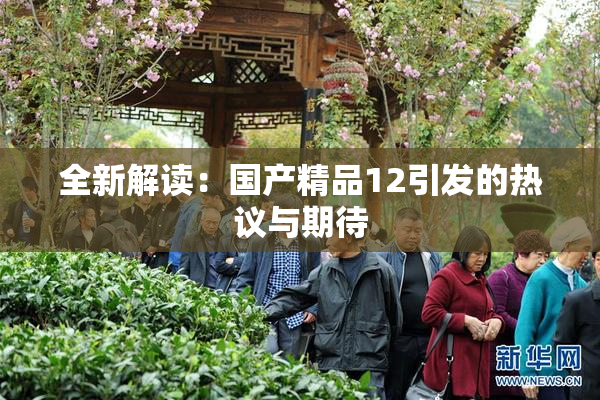 全新解读：国产精品12引发的热议与期待
