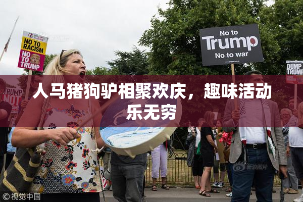 人马猪狗驴相聚欢庆，趣味活动乐无穷