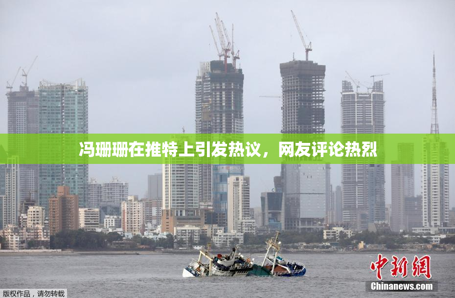 冯珊珊在推特上引发热议，网友评论热烈