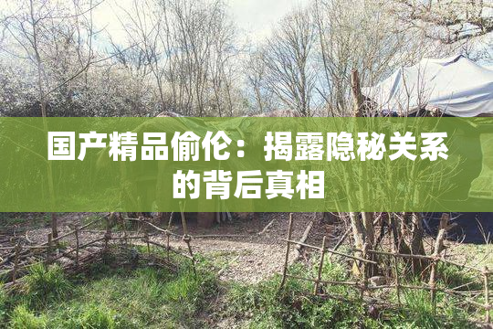 国产精品偷伦：揭露隐秘关系的背后真相