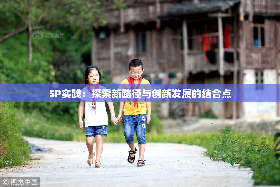 SP实践：探索新路径与创新发展的结合点
