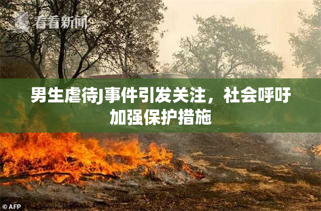男生虐待J事件引发关注，社会呼吁加强保护措施