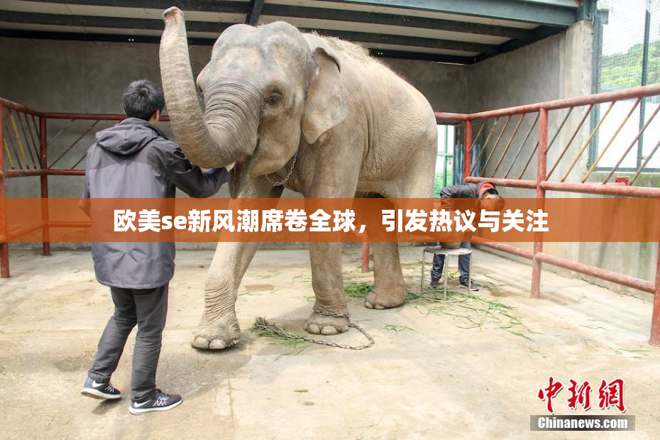 欧美se新风潮席卷全球，引发热议与关注