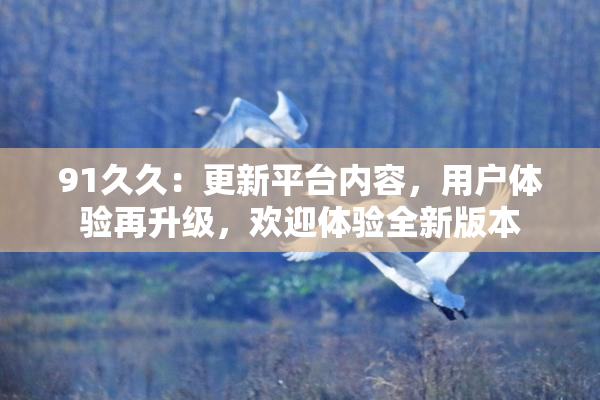 91久久：更新平台内容，用户体验再升级，欢迎体验全新版本