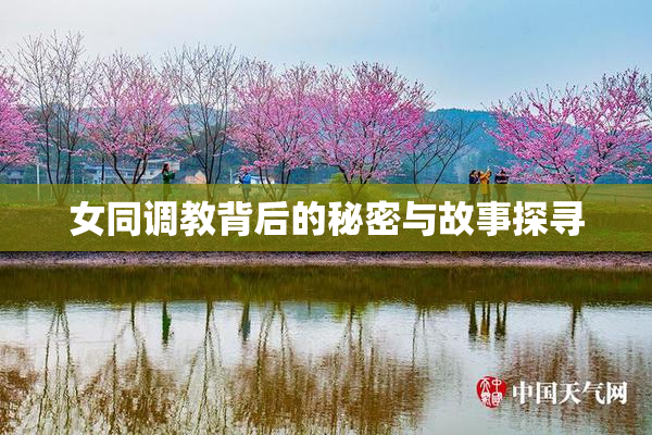 女同调教背后的秘密与故事探寻