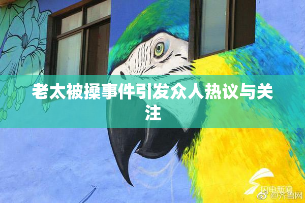 老太被搡事件引发众人热议与关注