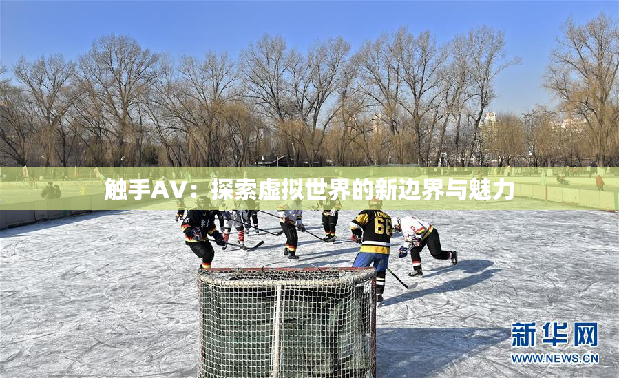 触手AV：探索虚拟世界的新边界与魅力