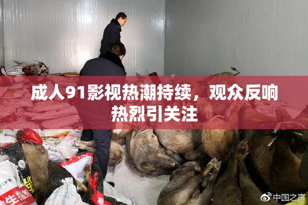 成人91影视热潮持续，观众反响热烈引关注