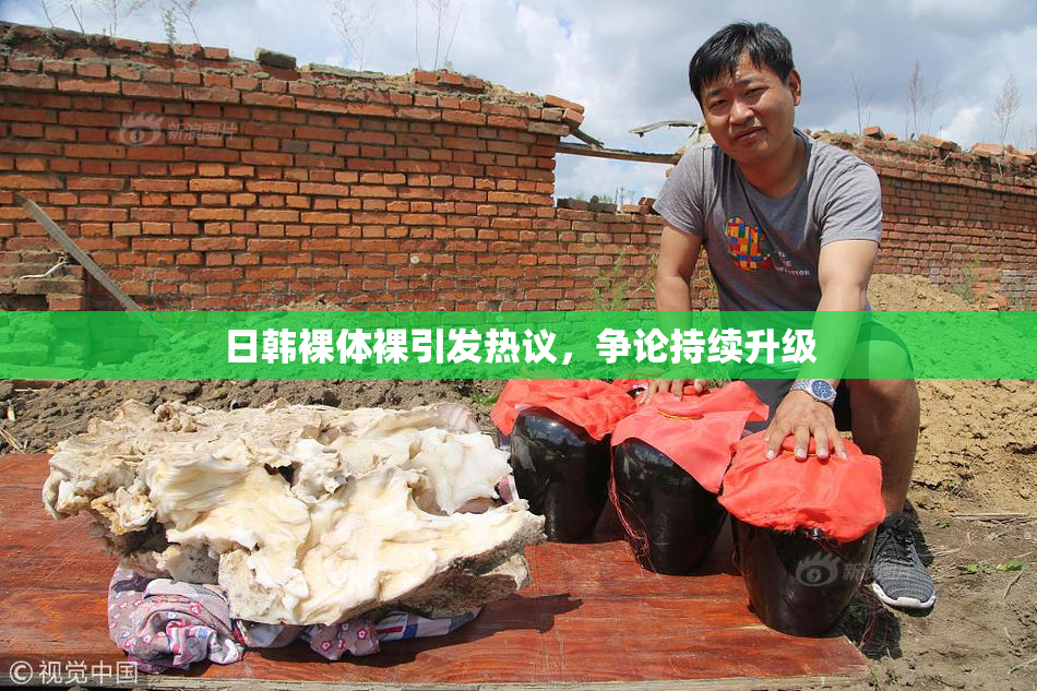 日韩裸体裸引发热议，争论持续升级