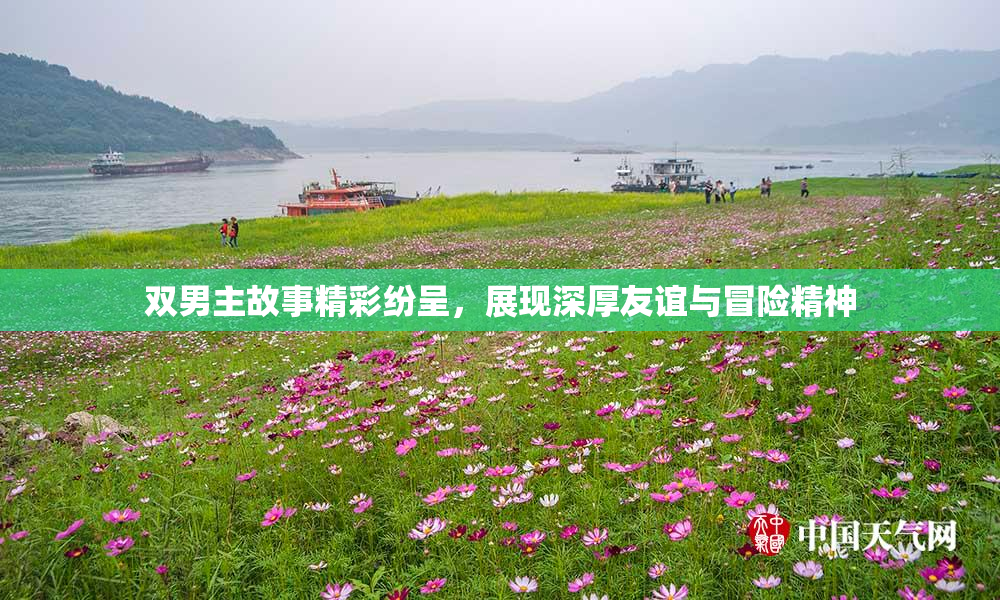 双男主故事精彩纷呈，展现深厚友谊与冒险精神