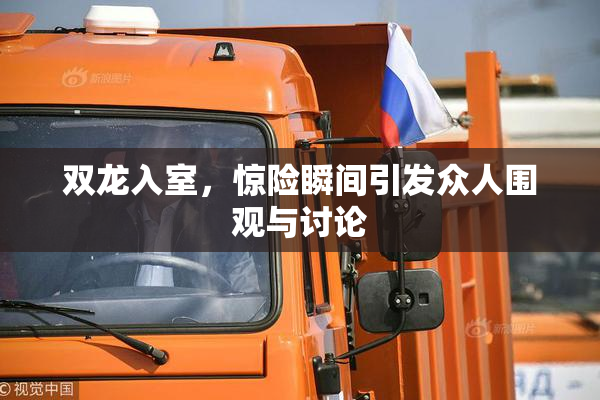 双龙入室，惊险瞬间引发众人围观与讨论