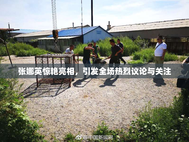 张娜英惊艳亮相，引发全场热烈议论与关注