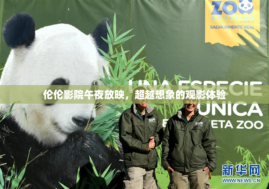 伦伦影院午夜放映，超越想象的观影体验