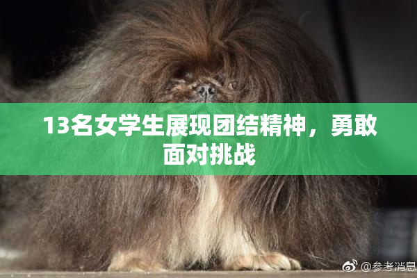 13名女学生展现团结精神，勇敢面对挑战