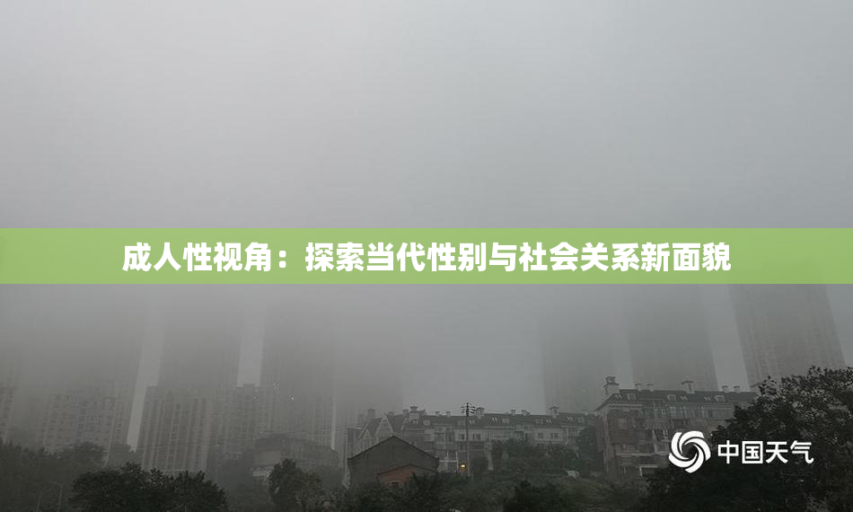 成人性视角：探索当代性别与社会关系新面貌