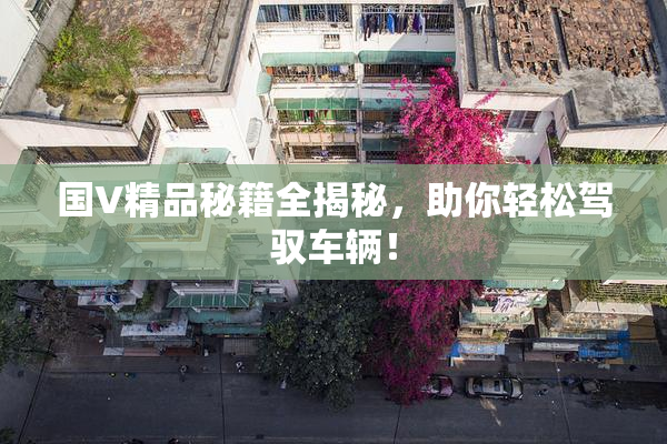 国V精品秘籍全揭秘，助你轻松驾驭车辆！