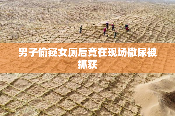 男子偷窥女厕后竟在现场撒尿被抓获