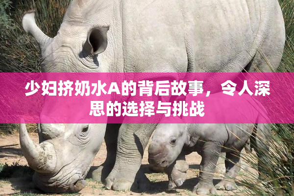 少妇挤奶水A的背后故事，令人深思的选择与挑战