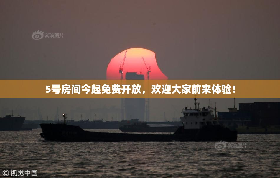 5号房间今起免费开放，欢迎大家前来体验！