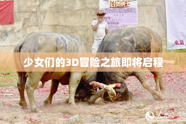 少女们的3D冒险之旅即将启程