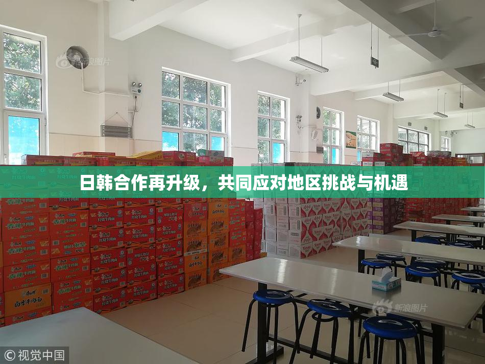 日韩合作再升级，共同应对地区挑战与机遇