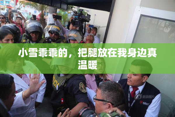 小雪乖乖的，把腿放在我身边真温暖