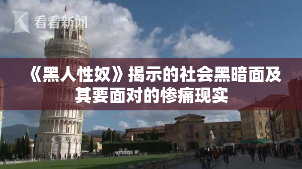 《黑人性奴》揭示的社会黑暗面及其要面对的惨痛现实