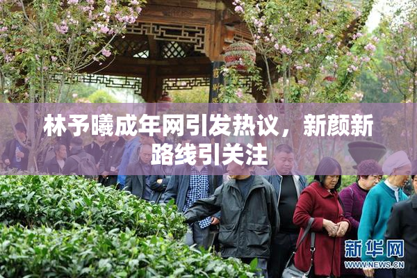 林予曦成年网引发热议，新颜新路线引关注