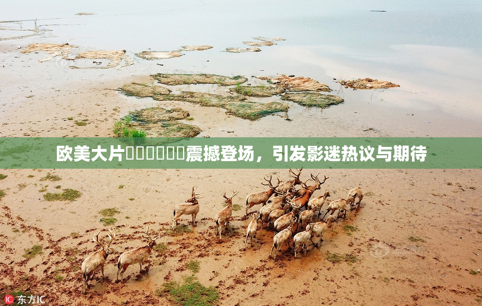 欧美大片❌‌❌‌❌‌震撼登场，引发影迷热议与期待