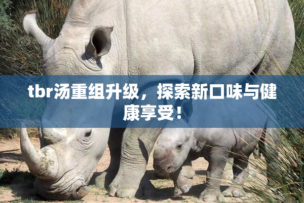tbr汤重组升级，探索新口味与健康享受！