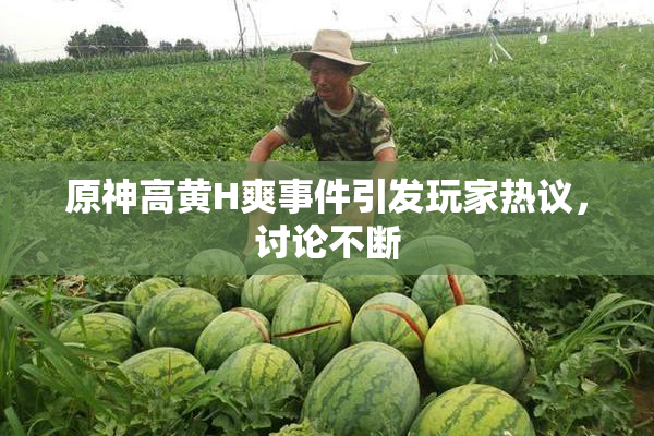原神高黄H爽事件引发玩家热议，讨论不断