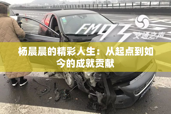 杨晨晨的精彩人生：从起点到如今的成就贡献