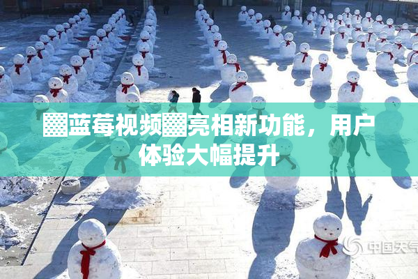 ▓蓝莓视频▓亮相新功能，用户体验大幅提升