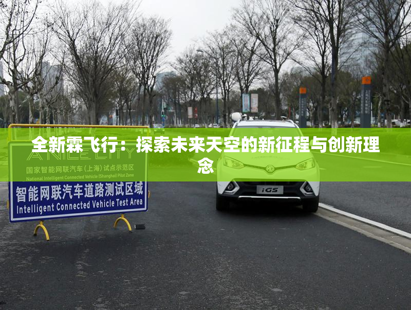 全新霖飞行：探索未来天空的新征程与创新理念
