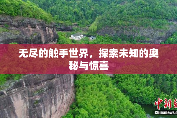 无尽的触手世界，探索未知的奥秘与惊喜