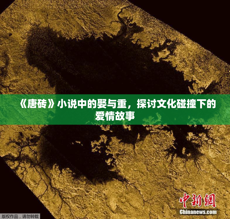 《唐砖》小说中的娶与重，探讨文化碰撞下的爱情故事