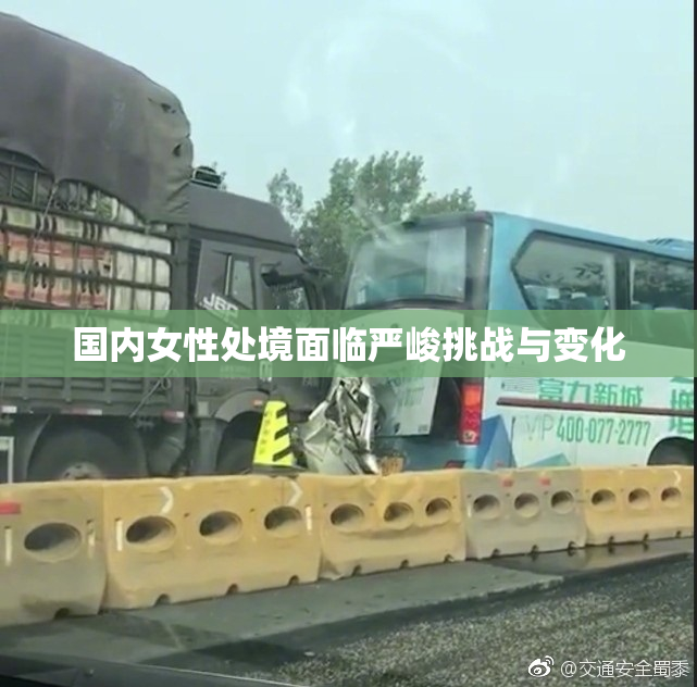 国内女性处境面临严峻挑战与变化