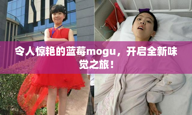 令人惊艳的蓝莓mogu，开启全新味觉之旅！