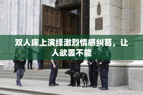 双人床上演绎激烈情感纠葛，让人欲罢不能