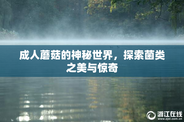 成人蘑菇的神秘世界，探索菌类之美与惊奇