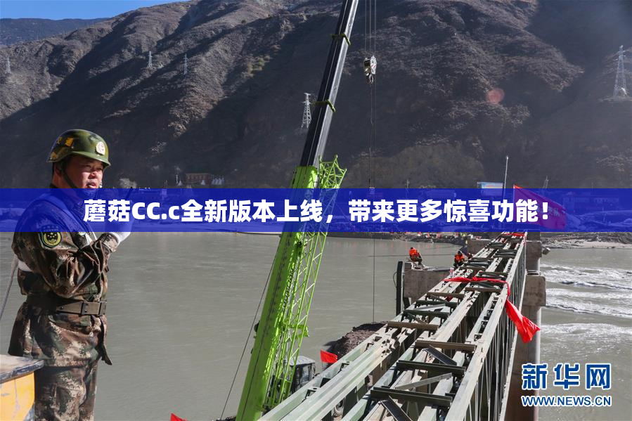 蘑菇CC.c全新版本上线，带来更多惊喜功能！