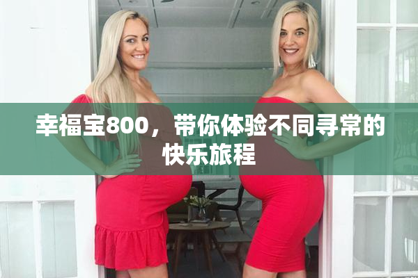 幸福宝800，带你体验不同寻常的快乐旅程