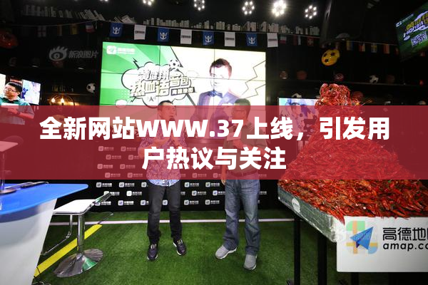 全新网站WWW.37上线，引发用户热议与关注
