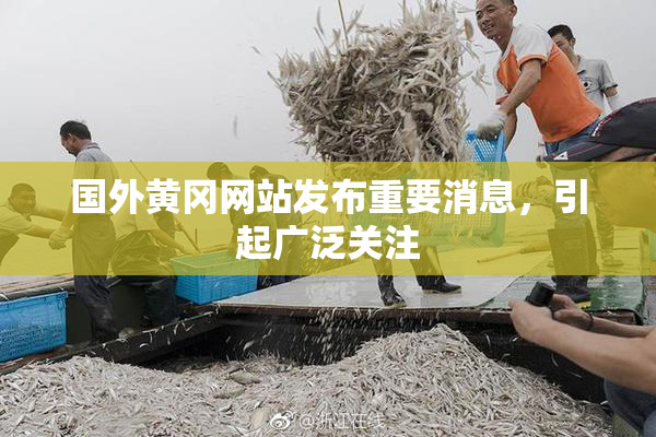 国外黄冈网站发布重要消息，引起广泛关注