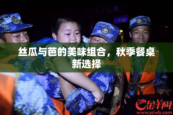 丝瓜与芭的美味组合，秋季餐桌新选择
