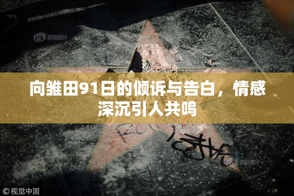 向雏田91日的倾诉与告白，情感深沉引人共鸣