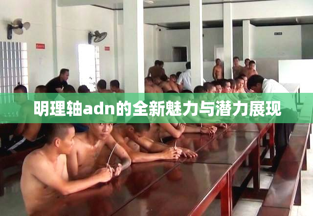 明理轴adn的全新魅力与潜力展现